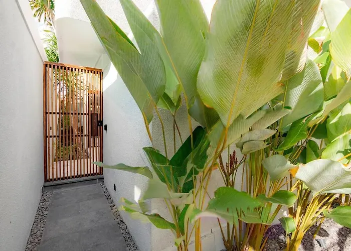The Drupadi Town House Lola